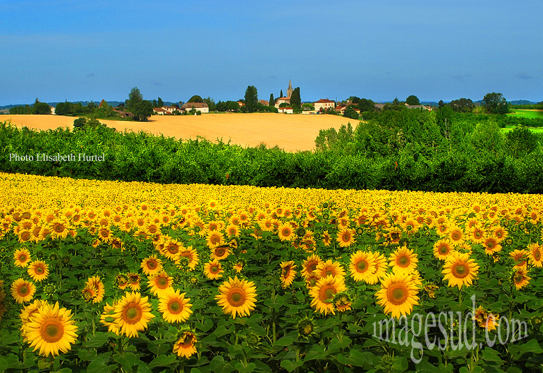 French Lanscape Dordogne Aquitaine Photography France Countryside